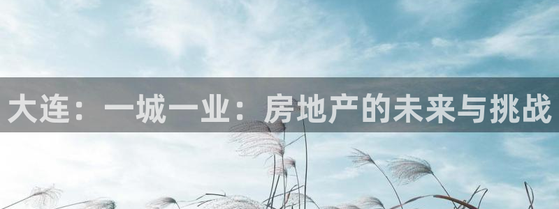 和记官网注册：大连：一城一业：房地产的未来与挑战