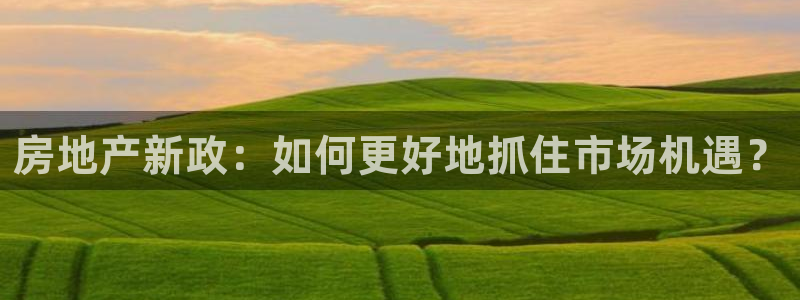 和记备用官网：房地产新政：如何更好地抓住市场机遇？