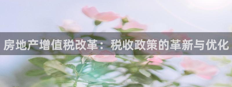 和记火爆官网：房地产增值税改革：税收政策的革新与优化