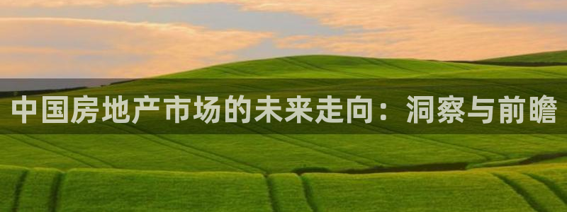 和记黄埔集团官网：中国房地产市场的未来走向：洞察与前瞻