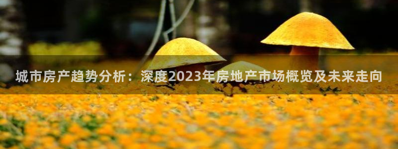 和记澳门官网：城市房产趋势分析：深度2023年房地产市场概览