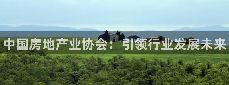 和记娱真好h88285官网：中国房地产业协会：引领行业发展未