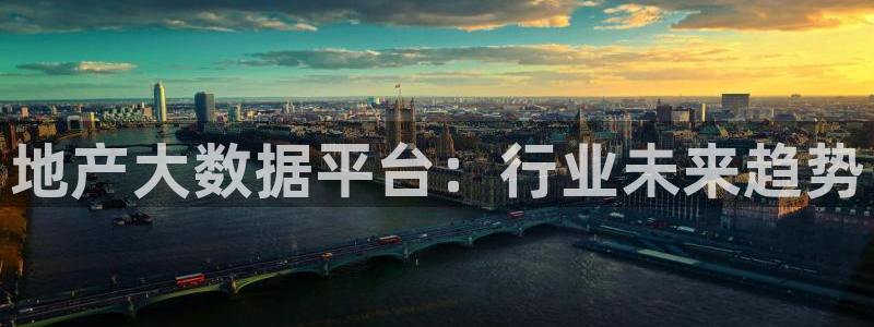 长江和记有限公司官网：地产大数据平台：行业未来趋势
