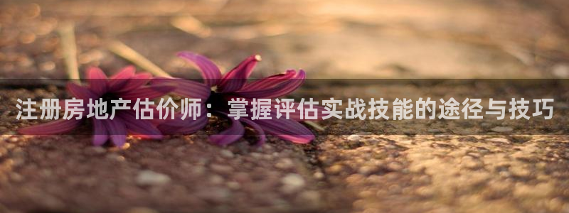 和记电游官网：注册房地产估价师：掌握评估实战技能的途径与技巧