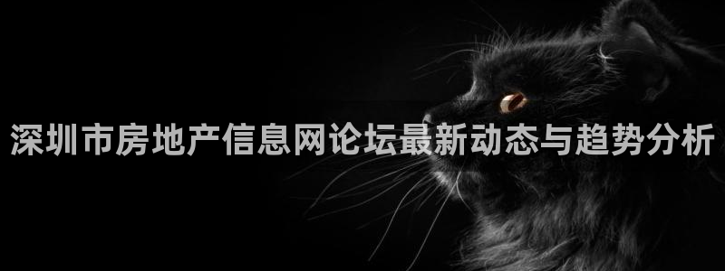 果博官网和记：深圳市房地产信息网论坛最新动态与趋势分析