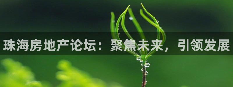 和记万佳国际家居城官网：珠海房地产论坛：聚焦未来，引领发展