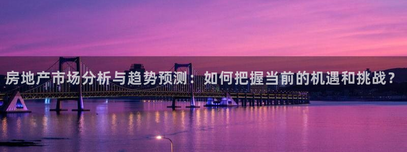 和记黄浦官网：房地产市场分析与趋势预测：如何把握当前的机遇和