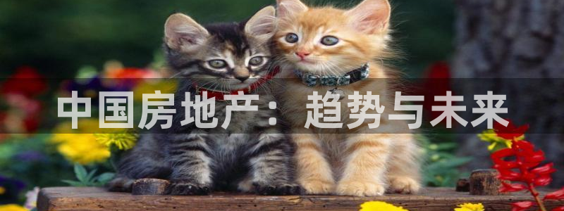 和记娱乐app官网：中国房地产：趋势与未来