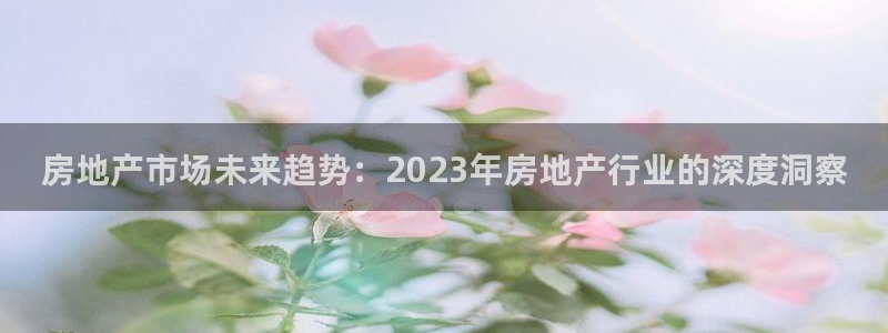 和记娱乐唯一官网：房地产市场未来趋势：2023年房地产行业的