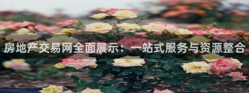 印尼和记官网：房地产交易网全面展示：一站式服务与资源整合