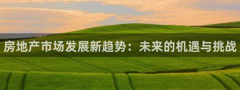 和记黄埔药业官网：房地产市场发展新趋势：未来的机遇与挑战