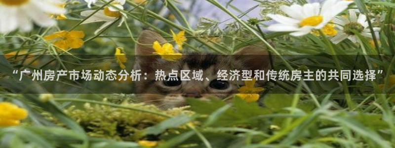 香港和记电信官网：“广州房产市场动态分析：热点区域、经济型和