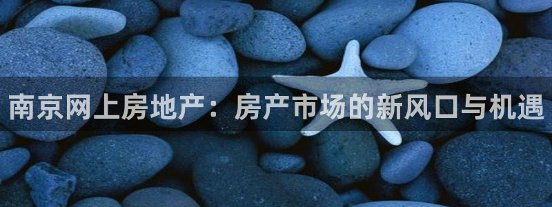 和生记官网：南京网上房地产：房产市场的新风口与机遇