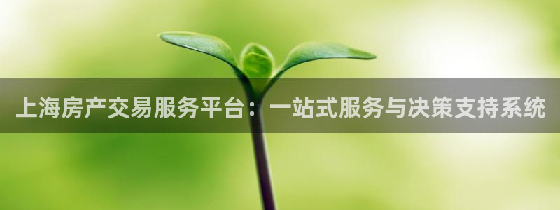 和记日化官网：上海房产交易服务平台：一站式服务与决策支持系统
