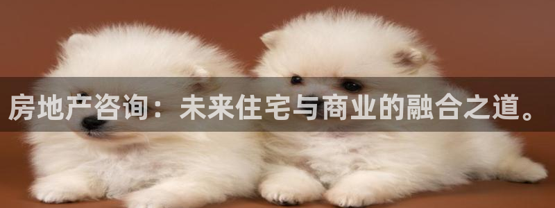 香港长江和记官网：房地产咨询：未来住宅与商业的融合之道。