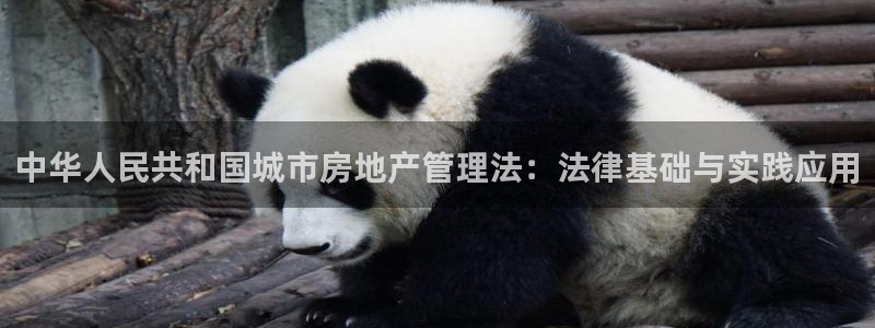 缅甸和记平台官网：中华人民共和国城市房地产管理法：法律基础与