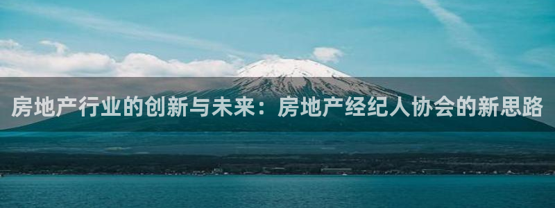 上海和记官网：房地产行业的创新与未来：房地产经纪人协会的新思