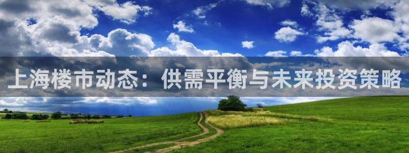 胡和记面官网：上海楼市动态：供需平衡与未来投资策略