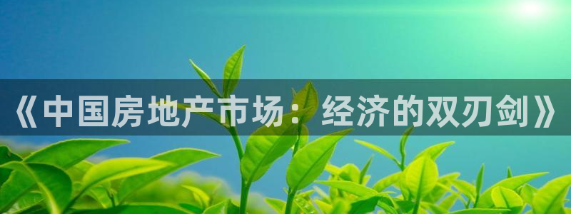 和记官网怡情娱乐：《中国房地产市场：经济的双刃剑》