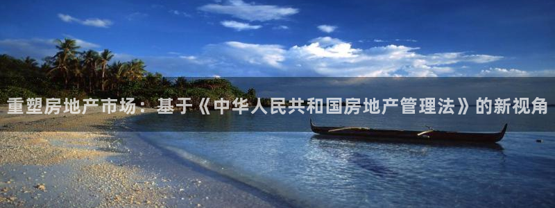 和记娱乐网官网：重塑房地产市场：基于《中华人民共和国房地产管