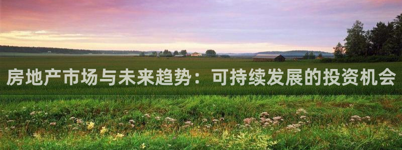 和记黄埔药业官网：房地产市场与未来趋势：可持续发展的投资机会