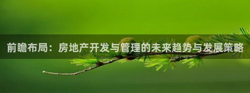 和记日化官网：前瞻布局：房地产开发与管理的未来趋势与发展策略