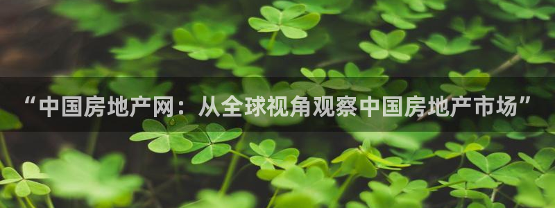 和记娱安全h88285官网