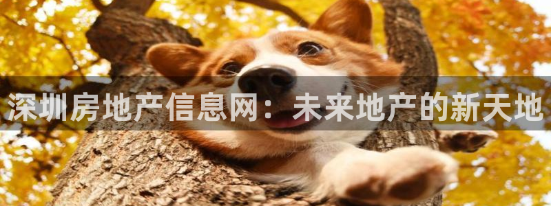 和记娱可信赖h88285官网：深圳房地产信息网：未来地产的新