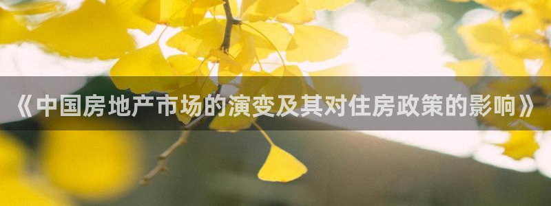 和记日化官网：《中国房地产市场的演变及其对住房政策的影响》