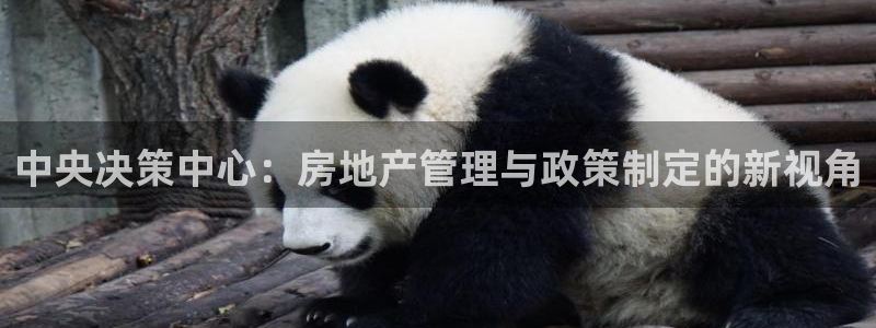 成都和记黄埔地产官网：中央决策中心：房地产管理与政策制定的新