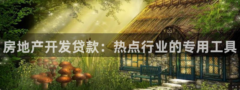 和记娱乐场所官网：房地产开发贷款：热点行业的专用工具
