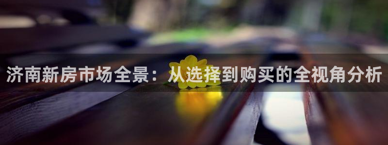 香港和记通讯官网：济南新房市场全景：从选择到购买的全视角分析