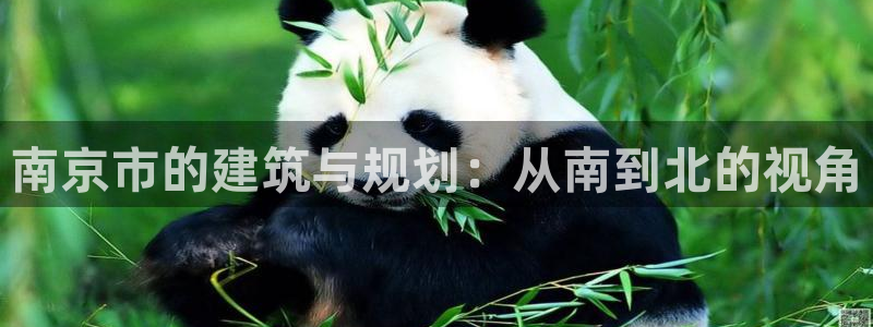 和记官网h88：南京市的建筑与规划：从南到北的视角