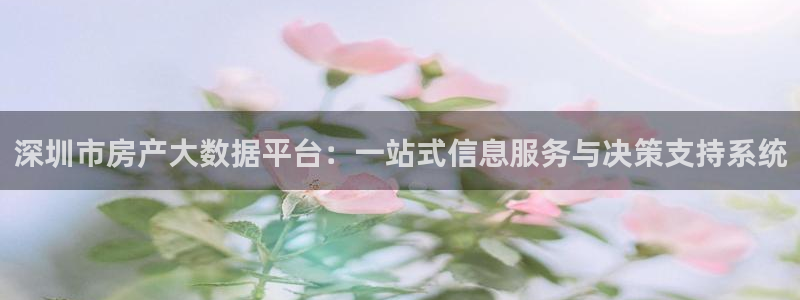和记官网h88：深圳市房产大数据平台：一站式信息服务与决策支