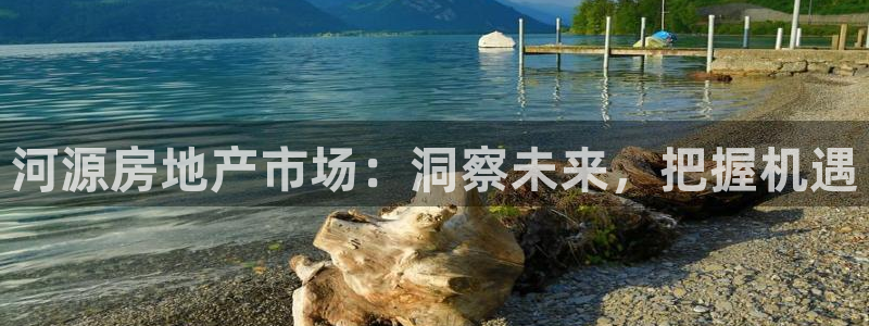 和记体育买球官网：河源房地产市场：洞察未来，把握机遇