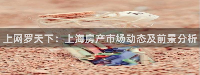 和记官网怡情娱乐：上网罗天下：上海房产市场动态及前景分析