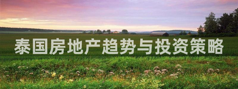 和记备用官网：泰国房地产趋势与投资策略