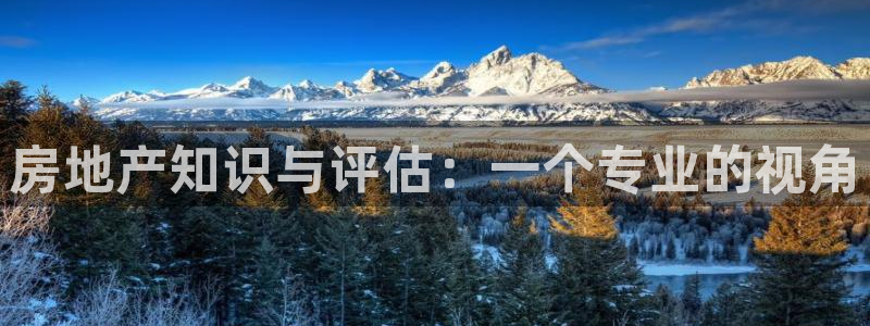 和记混凝土官网：房地产知识与评估：一个专业的视角
