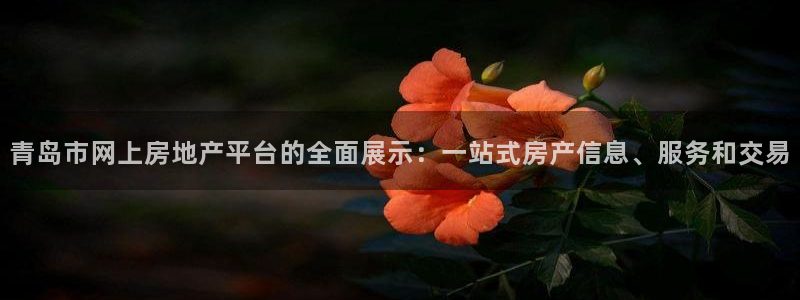 和记h8官网：青岛市网上房地产平台的全面展示：一站式房产信息