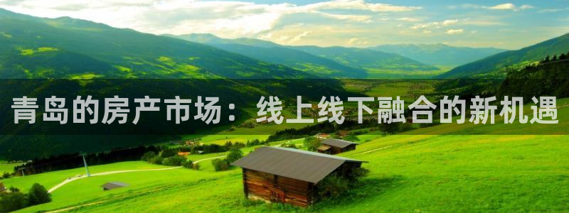 和记集团官网：青岛的房产市场：线上线下融合的新机遇