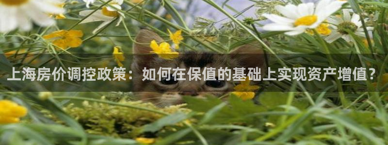 和记娱乐h88官网：上海房价调控政策：如何在保值的基础上实现