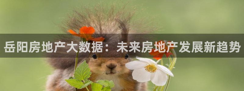 和记官网手机版下载：岳阳房地产大数据：未来房地产发展新趋势