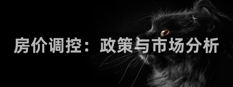 和记家家加盟官网：房价调控：政策与市场分析