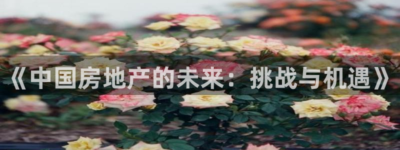 和记体育买球官网：《中国房地产的未来：挑战与机遇》