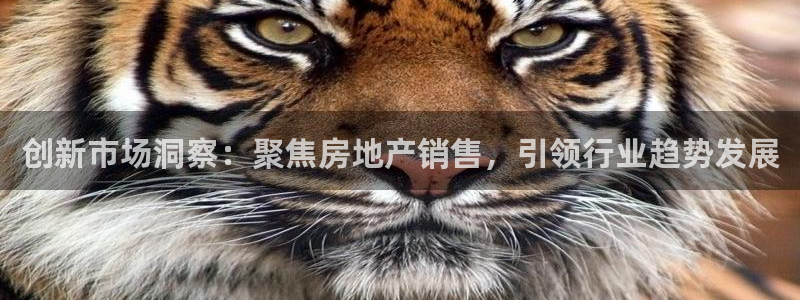 和记万佳国际家居城官网