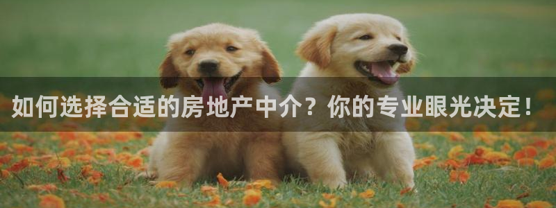 广州和记黄埔官网：如何选择合适的房地产中介？你的专业眼光决定