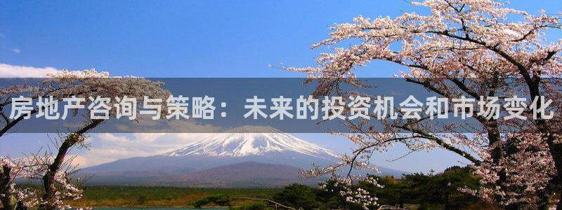 和记官网客户端：房地产咨询与策略：未来的投资机会和市场变化