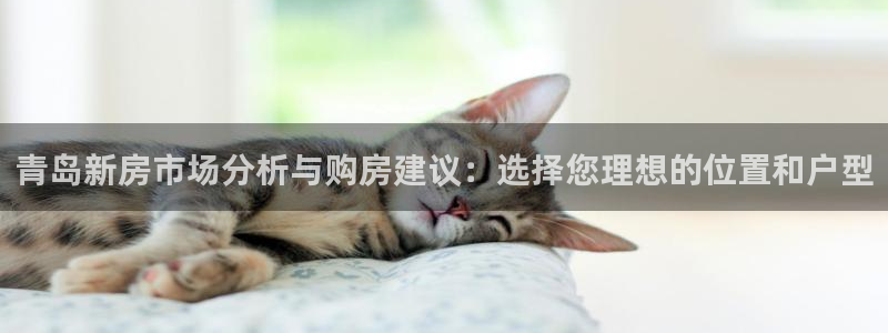 和记国际官网官网：青岛新房市场分析与购房建议：选择您理想的位