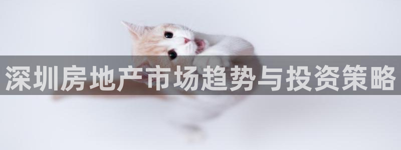 和记h88官网：深圳房地产市场趋势与投资策略