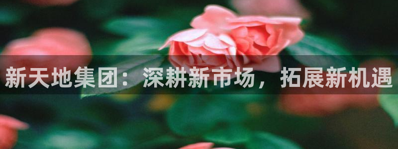 香港长江和记官网：新天地集团：深耕新市场，拓展新机遇